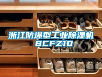 企业动态浙江防爆型工业除湿机 BCFZ10