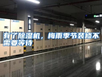 常见问题有了除湿机，梅雨季节装修不需要等待