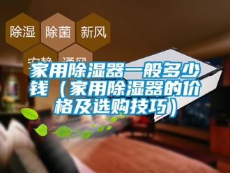 行业资讯家用除湿器一般多少钱（家用除湿器的价格及选购技巧）