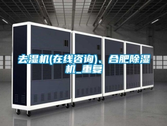 行业资讯去湿机(在线咨询)、合肥除湿机_重复