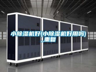 行业资讯小除湿机好(小除湿机好用吗)_重复