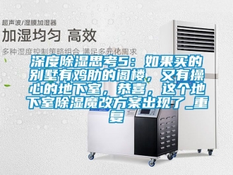 企业动态深度除湿思考5：如果买的别墅有鸡肋的阁楼，又有操心的地下室，恭喜，这个地下室除湿魔改方案出现了_重复