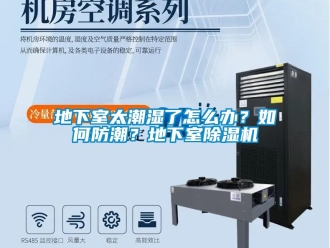 行业资讯地下室太潮湿了怎么办？如何防潮？地下室除湿机