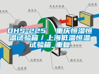常见问题DHS-225  重庆恒湿恒温试验箱／上海低温恒温试验箱_重复