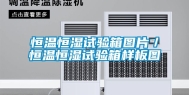 恒温恒湿试验箱图片／恒温恒湿试验箱样板图