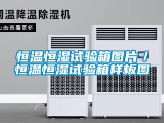 知识百科恒温恒湿试验箱图片／恒温恒湿试验箱样板图