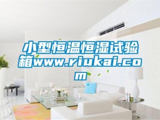 知识百科小型恒温恒湿试验箱www.riukai.com