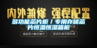 多功能芯片柜／专用存储芯片恒温恒湿箱柜