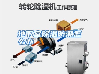 常见问题地下室除湿防潮怎么办