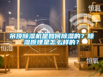 行业资讯吊顶除湿机是如何除湿的？除湿原理是怎么样的？