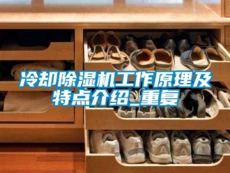 行业资讯冷却除湿机工作原理及特点介绍_重复