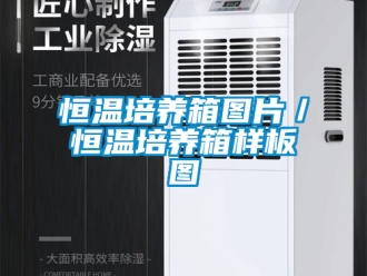 知识百科恒温培养箱图片／恒温培养箱样板图