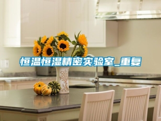 知识百科恒温恒湿精密实验室_重复