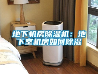 行业资讯地下机房除湿机：地下室机房如何除湿