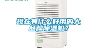 现在有什么好用的大品牌除湿机？