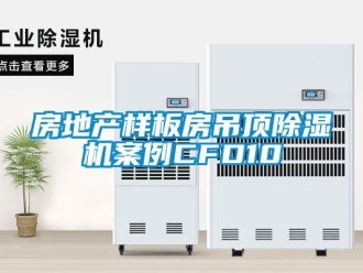 行业资讯房地产样板房吊顶除湿机案例CFD10