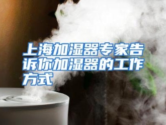 行业资讯上海加湿器专家告诉你加湿器的工作方式