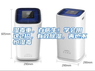行业资讯湿毒重，百病生！学会用这2招，有效除湿，再也不怕湿毒