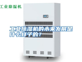常见问题工业除湿机的未来发展是什么样子的？