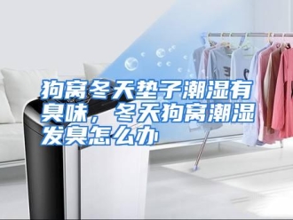 常见问题狗窝冬天垫子潮湿有臭味，冬天狗窝潮湿发臭怎么办