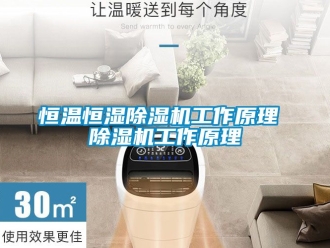 知识百科恒温恒湿除湿机工作原理 除湿机工作原理