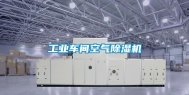 工业车间空气除湿机