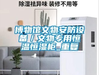 知识百科博物馆文物安防设备／文物专用恒温恒湿柜_重复