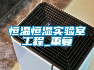 知识百科恒温恒湿实验室工程_重复