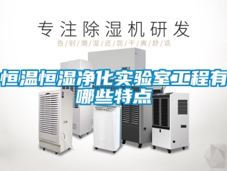 知识百科恒温恒湿净化实验室工程有哪些特点