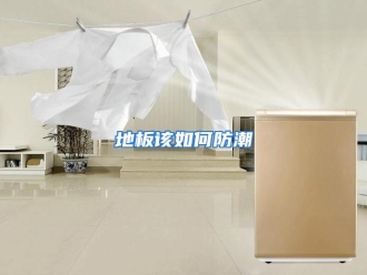 常见问题地板该如何防潮