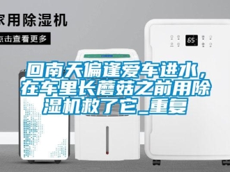 行业资讯回南天偏逢爱车进水，在车里长蘑菇之前用除湿机救了它_重复