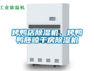 行业资讯烤鸭店除湿机，烤鸭鸭胚晾干房除湿机