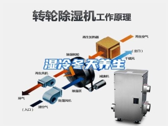 行业资讯湿冷冬天养生