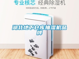 企业动态湖北地下仓库抽湿机品牌