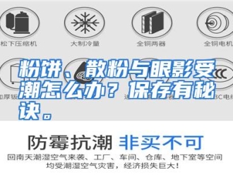 常见问题粉饼、散粉与眼影受潮怎么办？保存有秘诀。