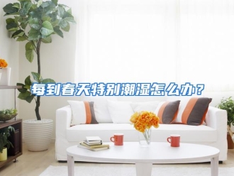 常见问题每到春天特别潮湿怎么办？