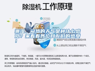 常见问题潮湿、闷热的天气是种什么感觉？来看看各位网友们的感受！