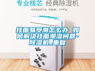 行业资讯挂面易受潮怎么办 如何解决挂面潮湿问题-除湿机_重复