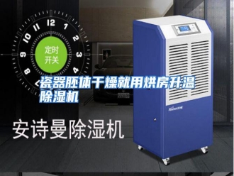 知识百科瓷器胚体干燥就用烘房升温除湿机