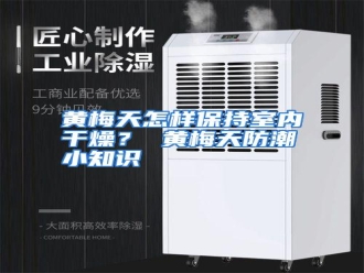 知识百科黄梅天怎样保持室内干燥？ 黄梅天防潮小知识