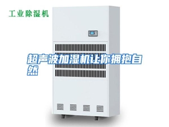 知识百科超声波加湿机让你拥抱自然