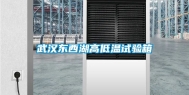 武汉东西湖高低温试验箱