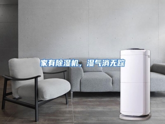 行业资讯家有除湿机，湿气消无踪