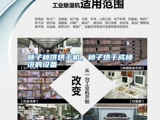 行业资讯柿子柿饼烘干机，柿子烘干成柿饼的设备