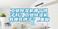 工业除湿机哪个牌子好？工业除湿机有哪些牌子？_重复