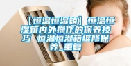 【恒温恒湿箱】恒温恒湿箱内外操作的保养技巧 恒温恒湿箱维修保养_重复