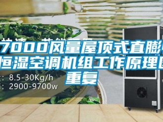 常见问题27000风量屋顶式直膨恒温恒湿空调机组工作原理图_重复