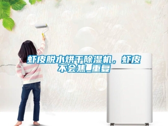 行业资讯虾皮脱水烘干除湿机，虾皮不会焦_重复
