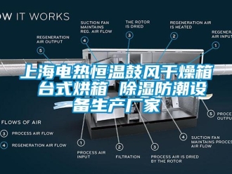 知识百科上海电热恒温鼓风干燥箱 台式烘箱 除湿防潮设备生产厂家