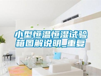 知识百科小型恒温恒湿试验箱图解说明_重复
